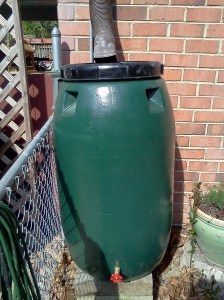 My rain barrel