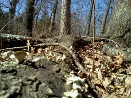 Go outside and move around. You'll feel better.