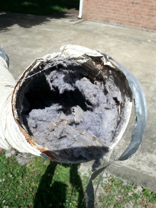 20150531_152603.jpg image